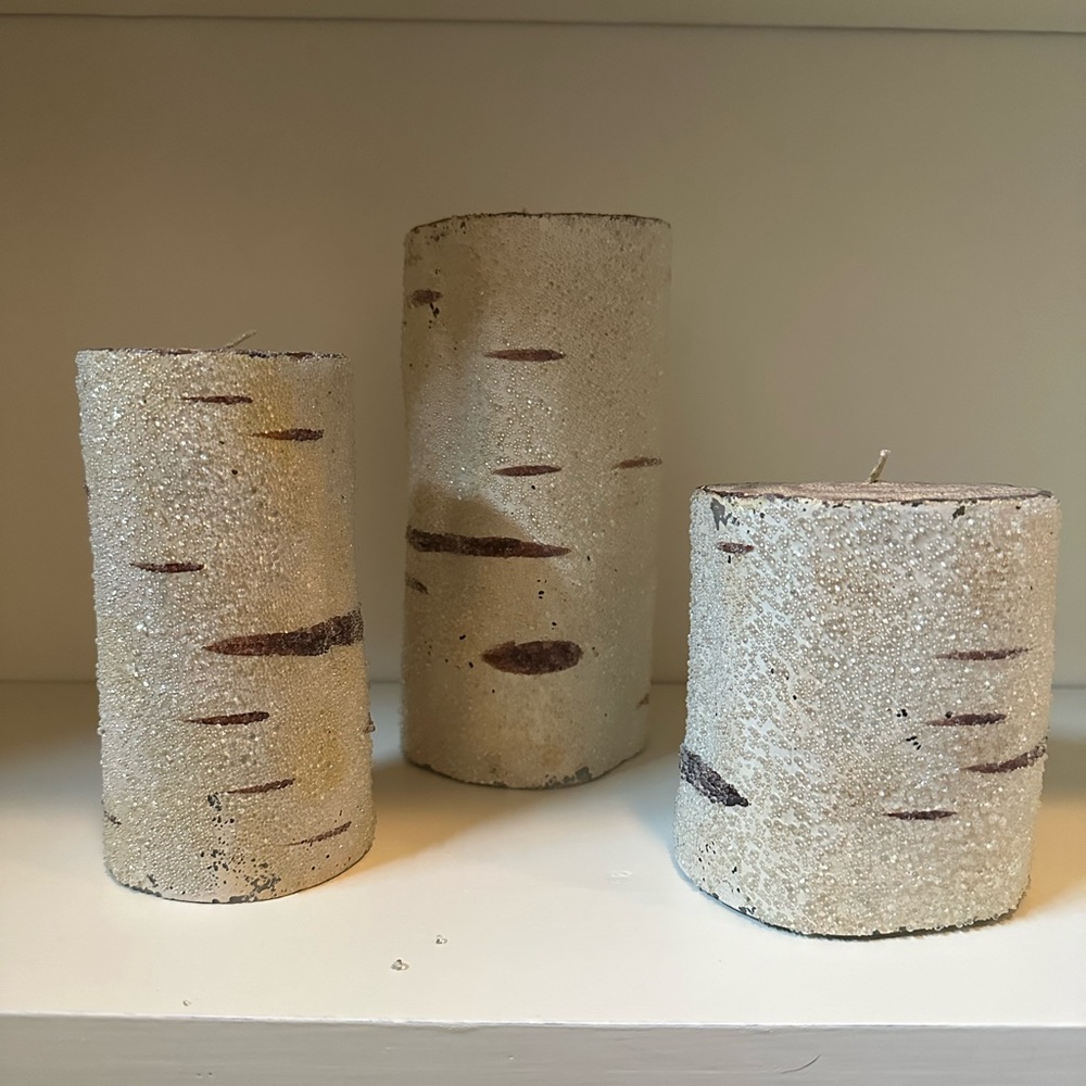 3 pottery barn faux birch look candles
